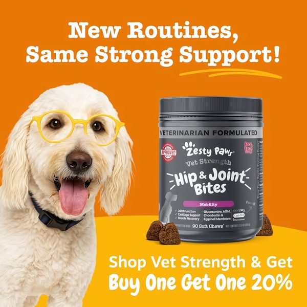 A high-converting 1:1 ad featuring a dog wearing yellow glasses alongside a jar of Hip & Joint Bites, highlighting a buy-one-get-one-20%-off sale.